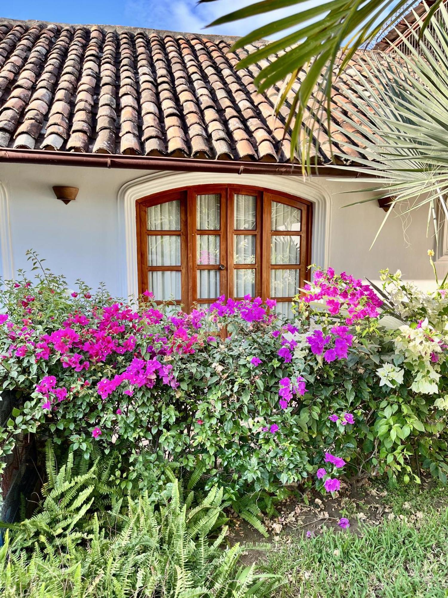 Hotel Boutique Adela Granada Exterior photo